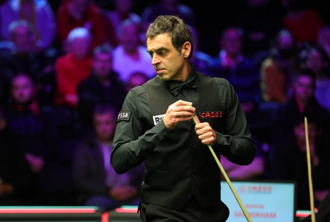 的篮球健儿 的篮球健儿