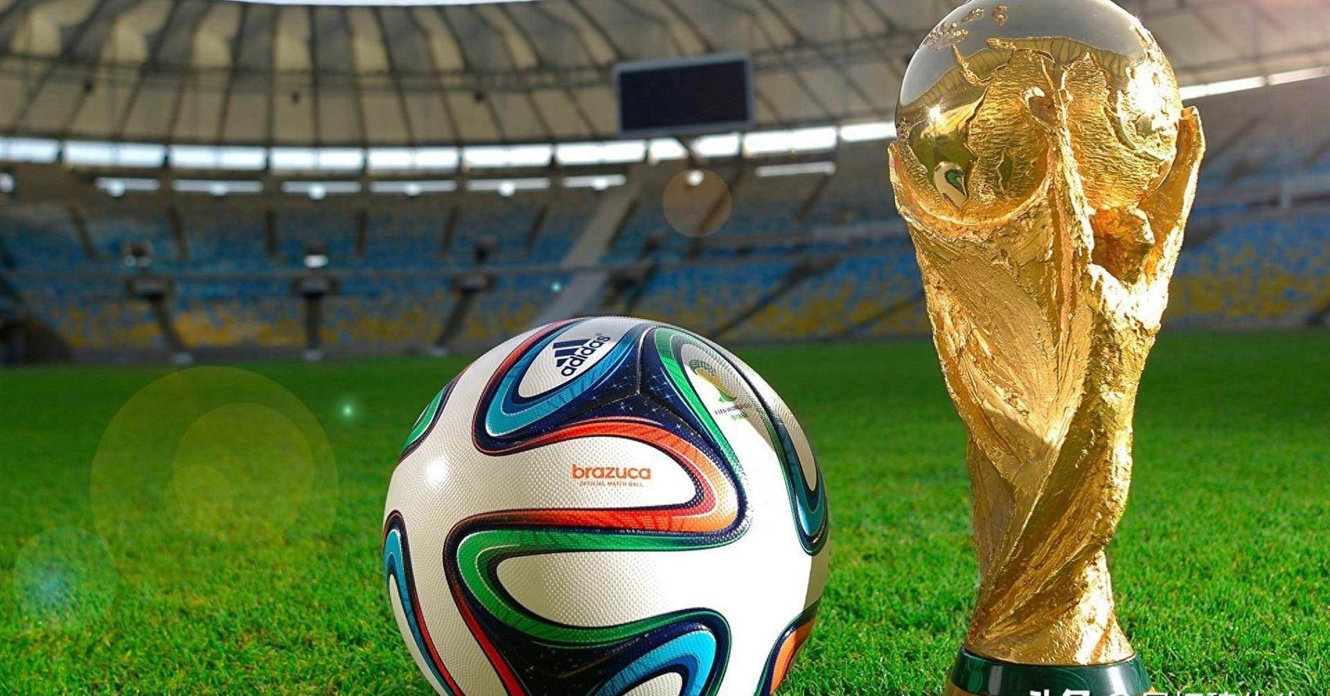 的无限魅力 的无限魅力